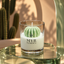 Scented Soy Wax Candle · Сactus